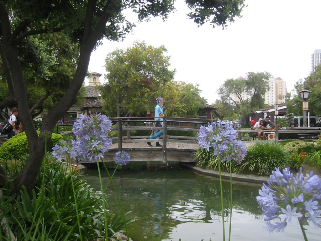 bridge.jpg