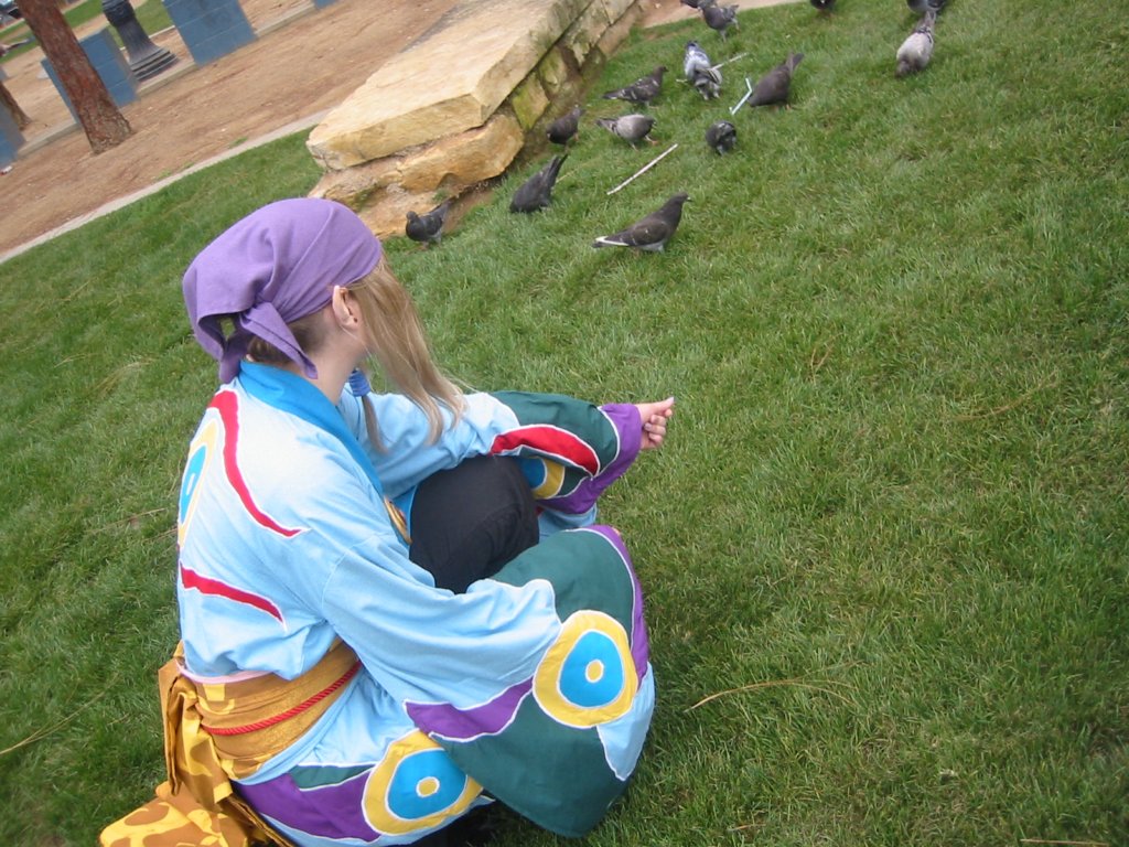 pidgeons.jpg